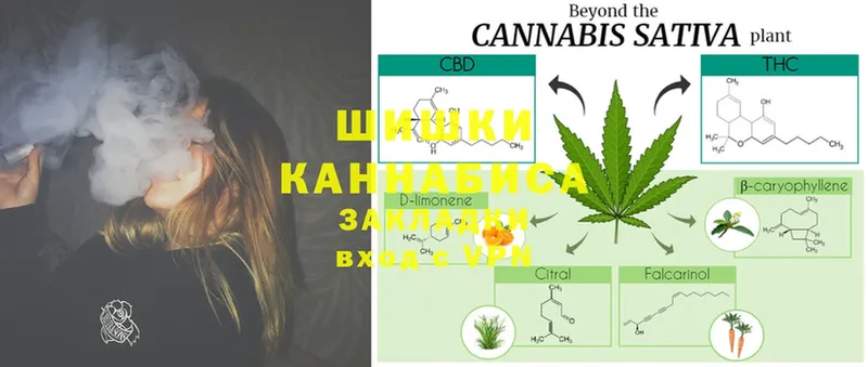 Канабис Ganja  Уяр 